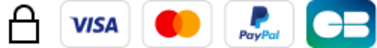 Payment